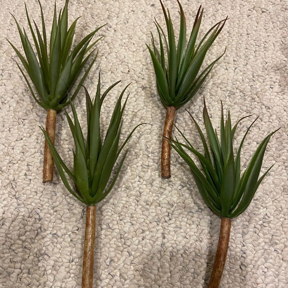 Artificial Succulents